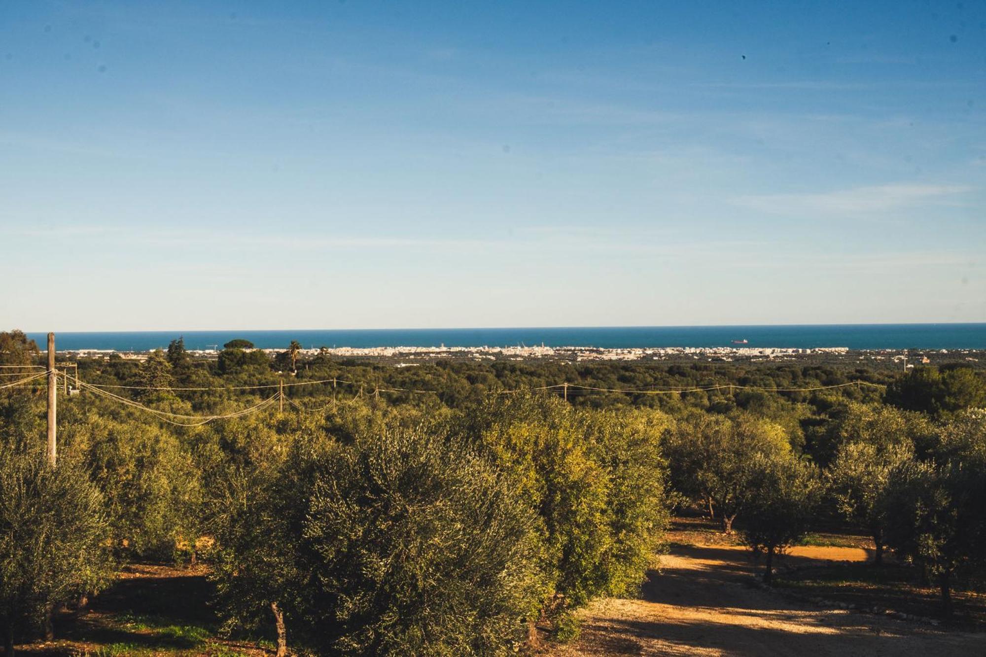 Country house Masseria Santa Teresa *