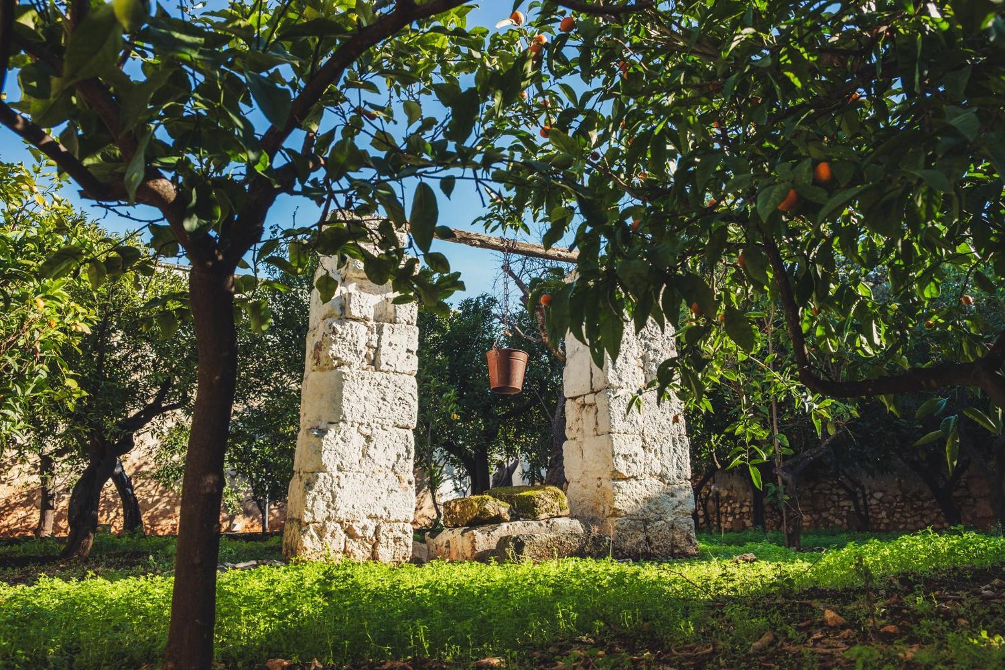 Masseria Santa Teresa Country house