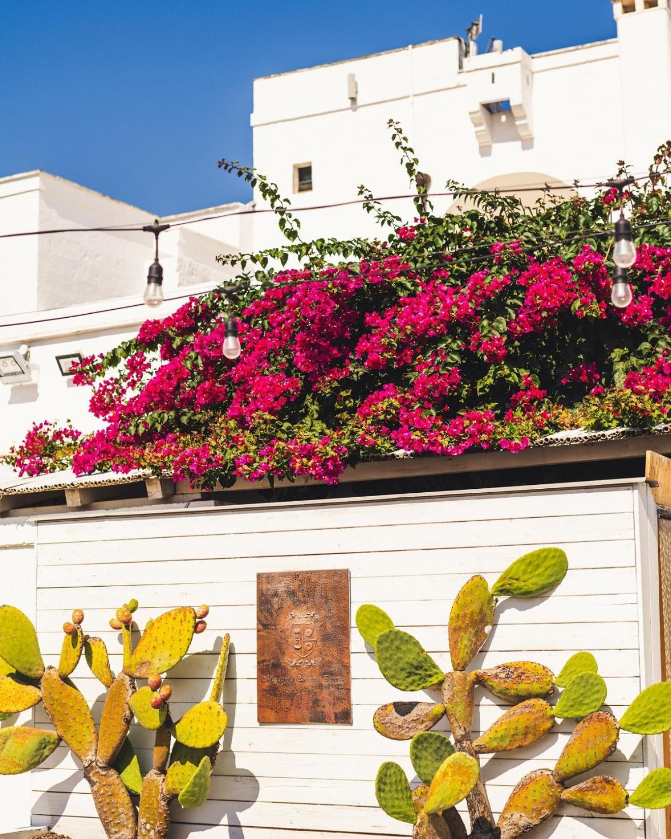 Country house Masseria Santa Teresa Monopoli